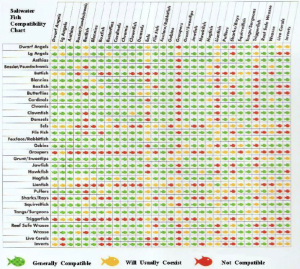 Saltwater Fish Compatibility Chart