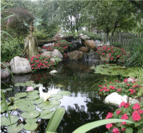 A water garden with lily pads, pink flowers, and large rocks